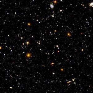 Meet your Posher, Crehan